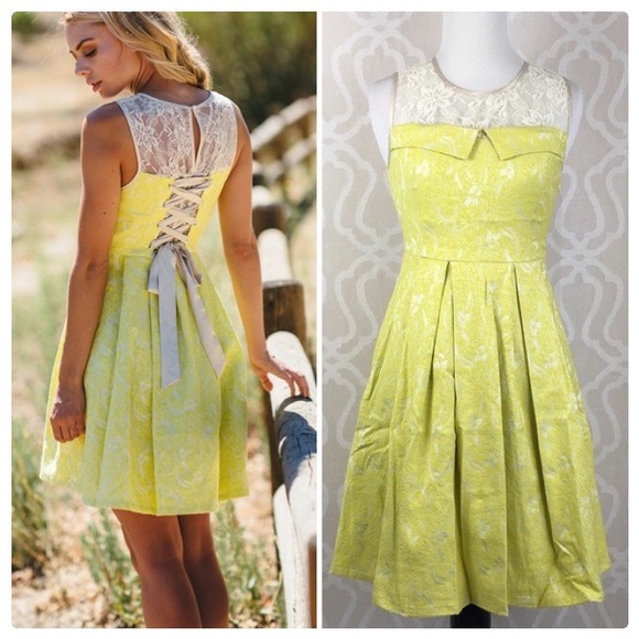 Ryu Lolita Lace & Jacquard Mini Dress - Picture 12 of 13